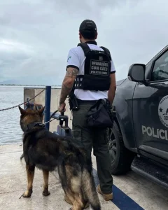 Núcleo de operações com cães da PCPR completa 13 anos de combate ao crime