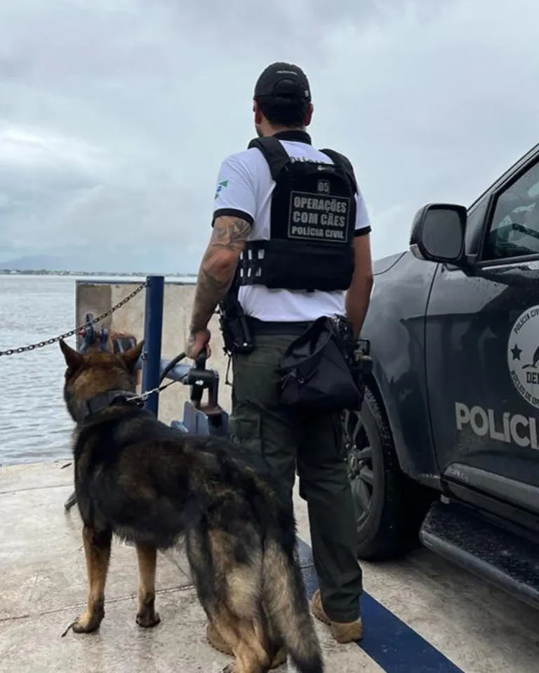 Núcleo de operações com cães da PCPR completa 13 anos de combate ao crime
