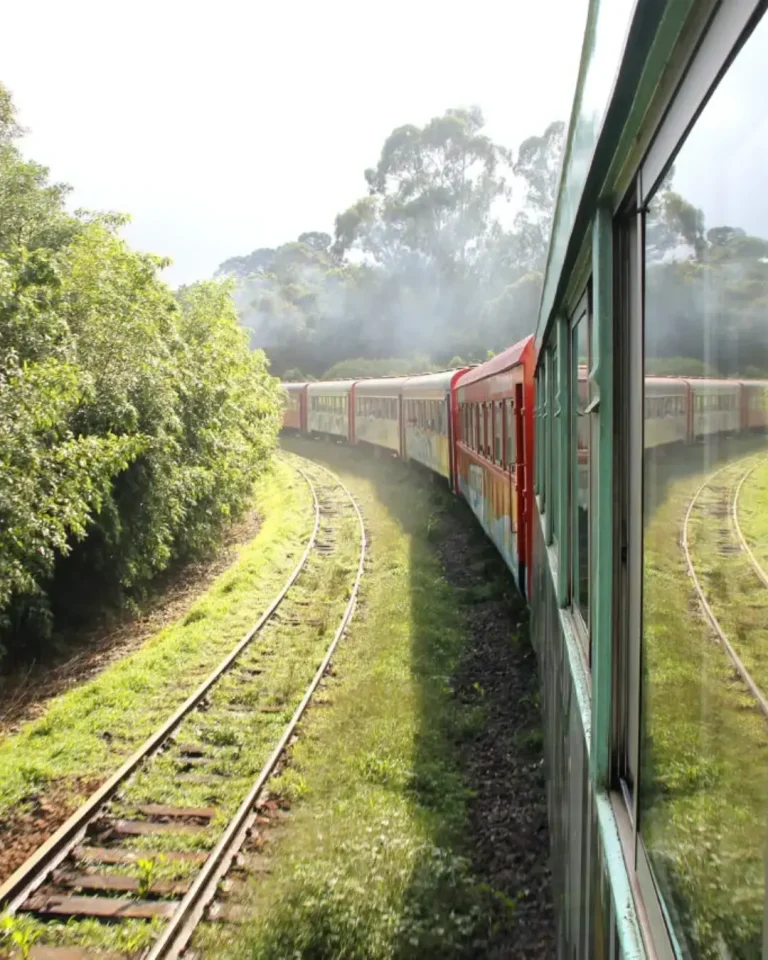 Passeio de trem entre Curitiba e Morretes amplia operação para quintas-feiras na pré-temporada de verão