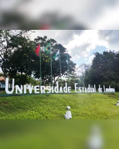 Universidades Estaduais do Paraná ganham destaque em ranking global de educação superior