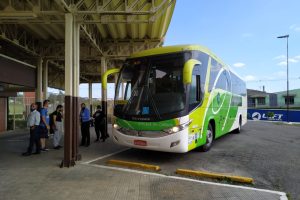 Saiba como vai funcionar o programa de passagens gratuitas em ônibus rodoviários para idosos no Paraná