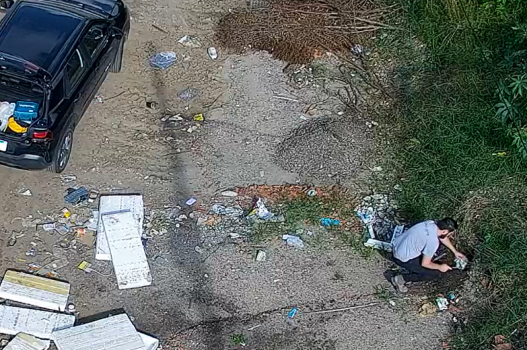 Muralha Digital de São José dos Pinhais registra maus-tratos a porquinho da índia e ajuda a prender agressor