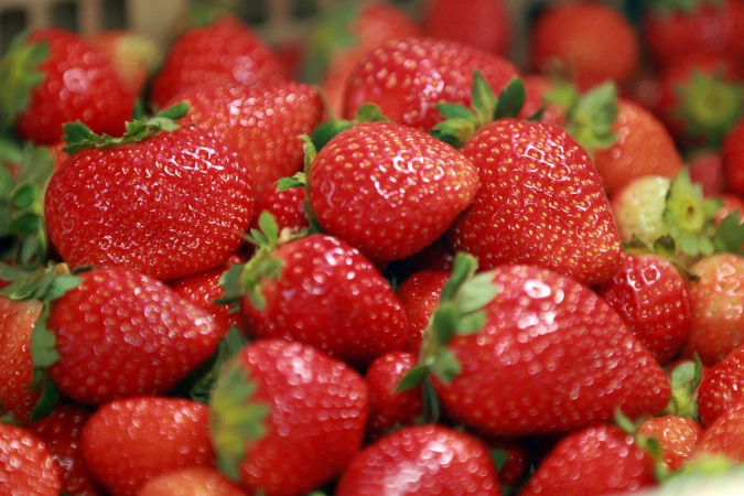 Grande Curitiba é a maior produtora de morango do Paraná