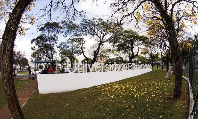 UEM abre teste seletivo com 65 vagas para professores temporários; salários chegam a R$ 10,6 mil