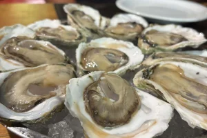 Litoral do Paraná pode virar um novo polo de produção de ostras