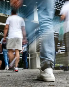 Ibama abre concurso com 460 vagas e salários de até R$ 9,9 mil