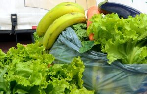 Programa Sacolão Verde está de volta: troque recicláveis por alimentos frescos em fevereiro
