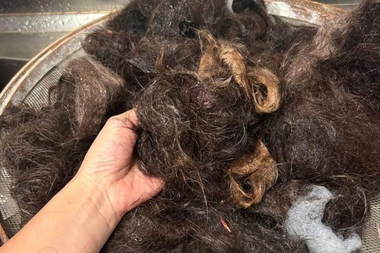 Pesquisa feita no Paraná transforma cabelo em adubo e tem resultados promissores