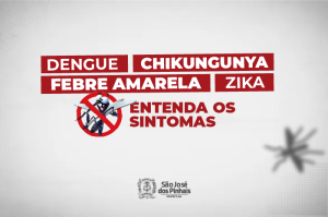 Aedes aegypti: entenda os sintomas das doenças transmitidas pelo mosquito