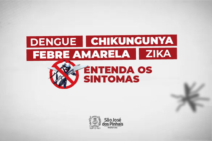 Aedes aegypti: entenda os sintomas das doenças transmitidas pelo mosquito