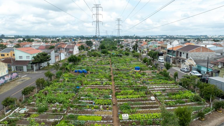 Programa de hortas comunitárias da Copel ganha seis novas unidades