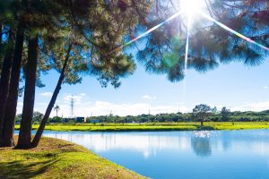 Confira as dicas da Prefeitura para cuidar da saúde durante dias de temperatura elevada 