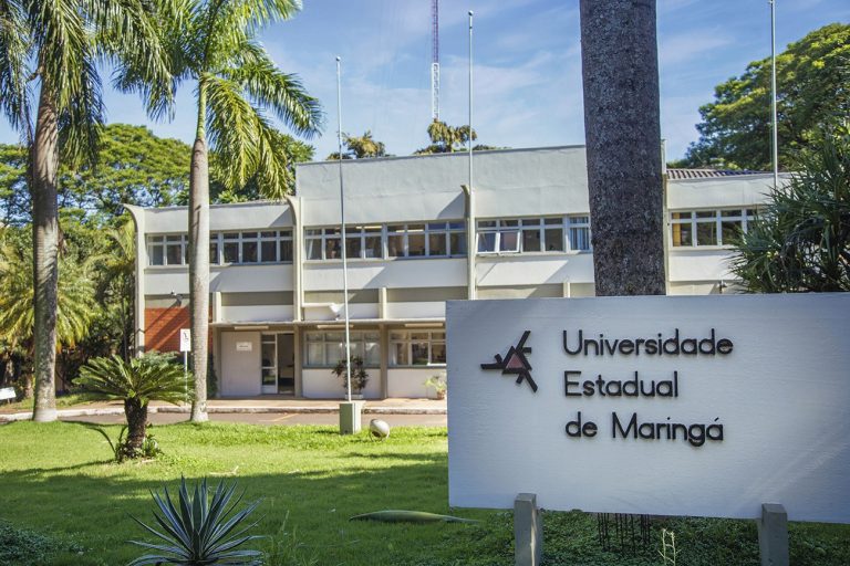 UEM abre teste seletivo com 10 vagas para professores; salários podem chegar a R$ 10,6 mil
