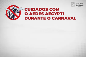 Aedes aegypti: saiba como se prevenir durante o Carnaval