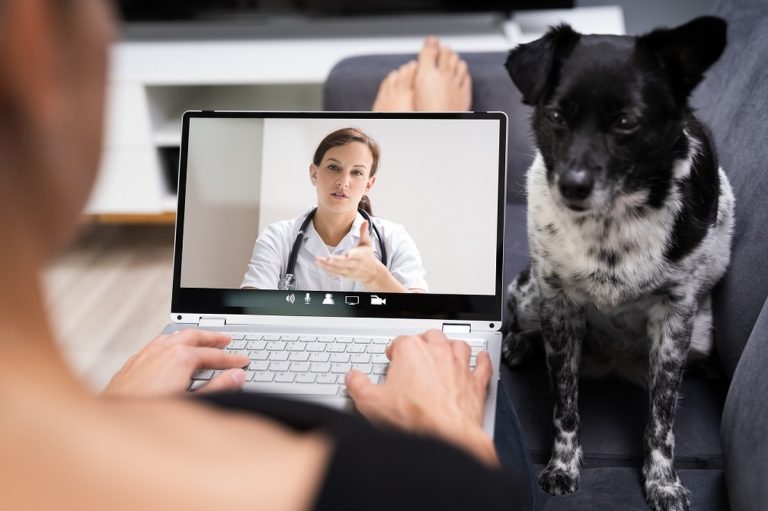 Mascote Fit e Tutor&Pet anunciam parceria para mais cuidado e bem-estar aos pets