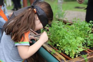 Unidades de Ensino podem agendar visitas educativas ao Meliponário e ao Jardim das Sensações 