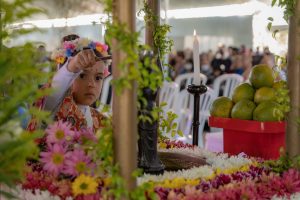 19º Hana Matsuri será entre os dias 11 e 13 de abril no Parque São José