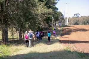 São José dos Pinhais promove caminhada com percurso por áreas rurais e mata
