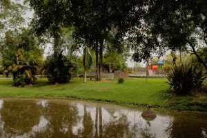 São José dos Pinhais celebra a Semana do Meio Ambiente com programação especial no Parque São José. Participe!