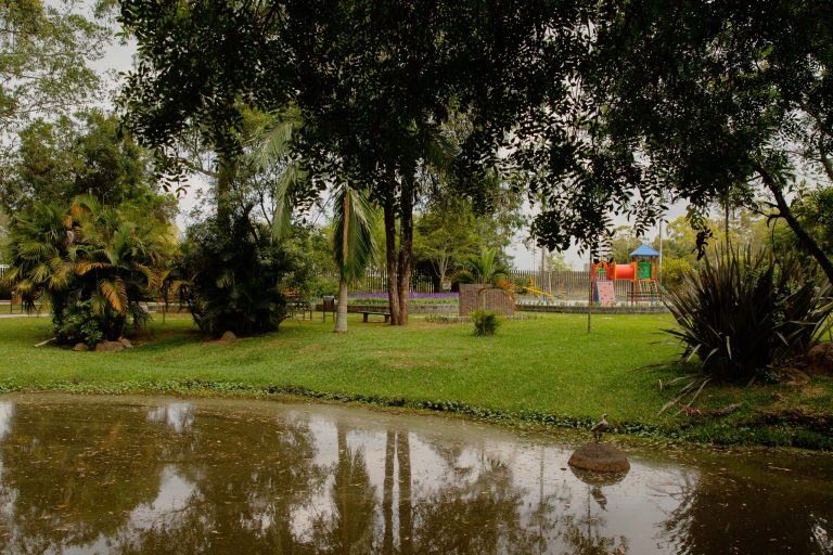 São José dos Pinhais celebra a Semana do Meio Ambiente com programação especial no Parque São José. Participe!