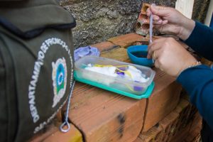 Mutirão de combate à dengue no bairro Borda do Campo será nesta quinta-feira (15)