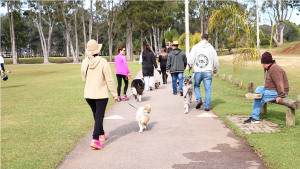 2ª Cãominhada de São José dos Pinhais será no dia 24 de maio. Participe!