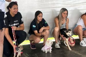 2ª Cãominhada de São José dos Pinhais é adiada para 7 de junho e amplia prazo de inscrições