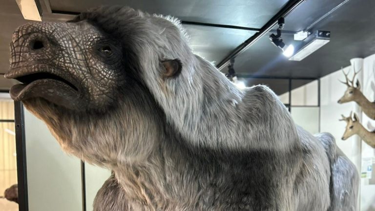 Universo UFPR terá atração gigante, máquina que deixa cabelos arrepiados e planetário