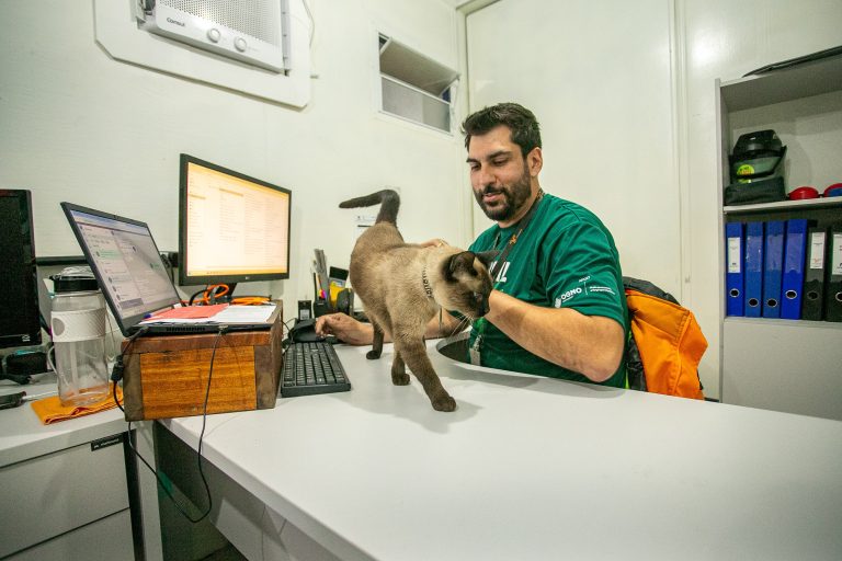 Funcionários de obra portuária adotam gato que estava abandonado e o promovem a 'engenheiro de sonecas', no litoral do PR