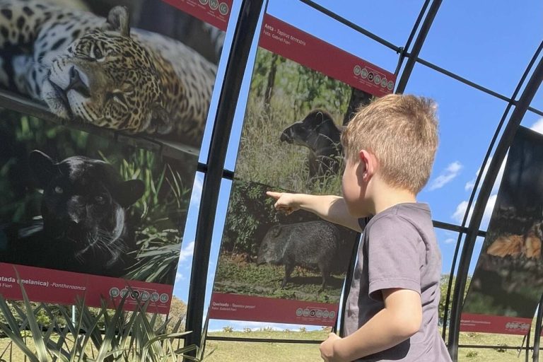 Exposição sobre animais ameaçados de extinção atrai turistas ao Jardim Botânico de Curitiba
