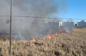 Defesa Civil de São José dos Pinhais combateu diversos focos de incêndio florestal nos últimos dias