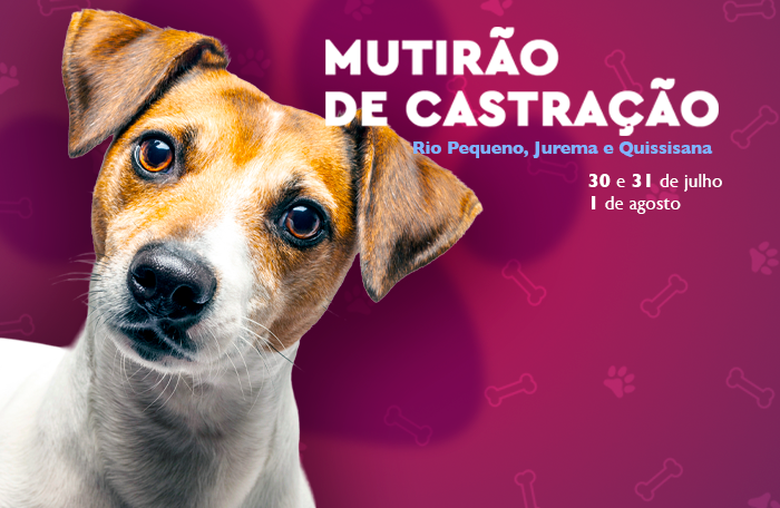 Mutirão de castração atenderá os bairros Rio Pequeno, Jurema e Quissisana a partir desta quarta-feira (30)