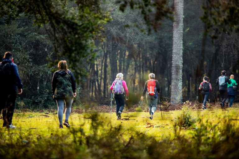 1ª Caminhada na Natureza – Circuito Roça Velha é neste domingo (13). Participe!