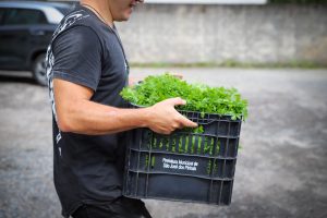 Programa de Aquisição de Alimentos de São José dos Pinhais distribui mensalmente mais de 8 mil quilos de alimentos