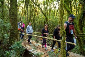 Caminhada gratuita em meio à natureza acontece neste domingo em São José dos Pinhais