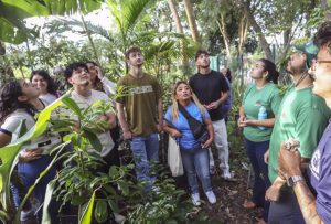 Fazenda Urbana oferta cursos gratuitos em Curitiba em julho: veja como se inscrever