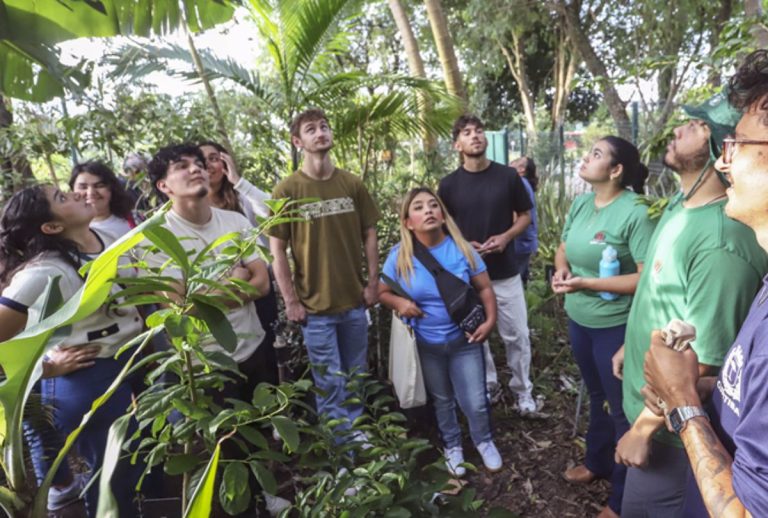 Fazenda Urbana oferta cursos gratuitos em Curitiba em julho: veja como se inscrever