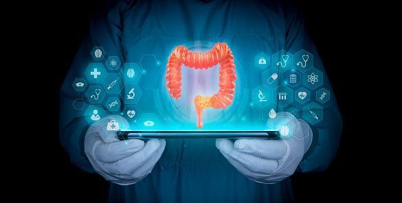 Morre Camila Trevisol, rainha de rodeios, aos 22 anos