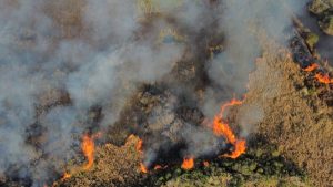 Paraná registra mais de 50 incêndios florestais por dia em julho