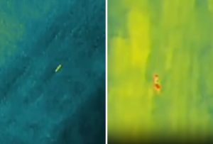 Polícia ‘ganha’ reforço animal na caçada a foragido no Paraná: vídeo