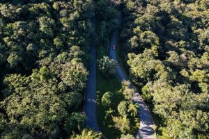 Festival de Inverno no Litoral do Paraná: rally na Estrada da Graciosa, cultura e 80 modalidades