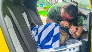 Cadela desaparecida há 8 anos é encontrada após loja escanear microchip e identificar tutores