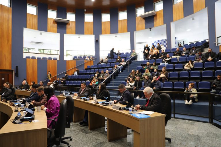 Câmara celebra Dia dos Pais e aprova projeto de lei sobre pessoas em situação de acumulação