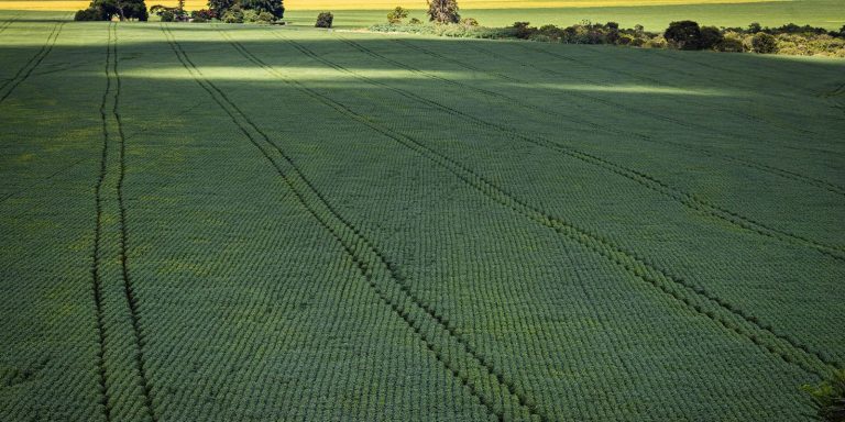 COP30: agro quer se posicionar como parte da solução, diz associação