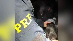 Mais de 160 quilos de cabelo humano são apreendidos no PR