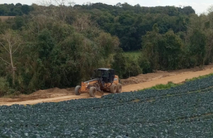 Rua João Idoski, na área rural de São José dos Pinhais, recebe obras de drenagem e patrolamento