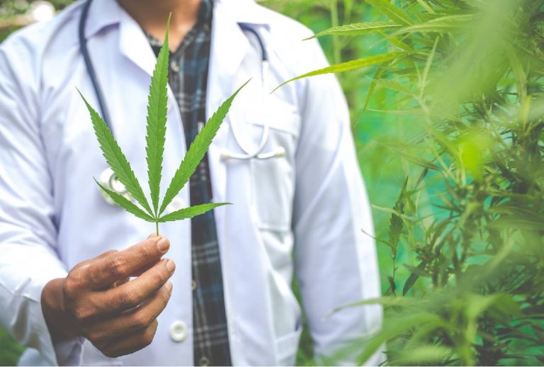 Primeira farmácia de cannabis medicinal abre as portas em Curitiba