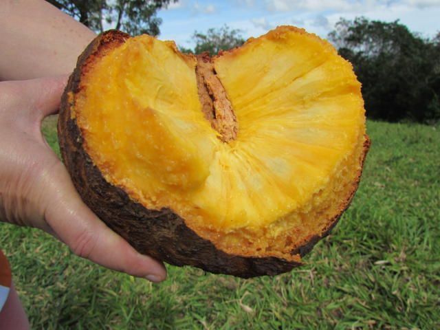 Fim da obrigatoriedade da autoescola deve gerar economia de R$ 9 bi ao ano