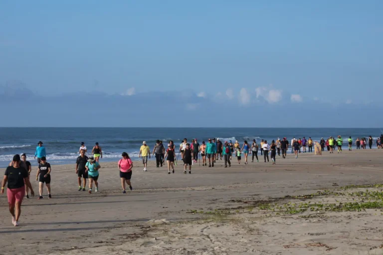 Evento em Pontal do Paraná oferece caminhada de 10 km em meio à natureza