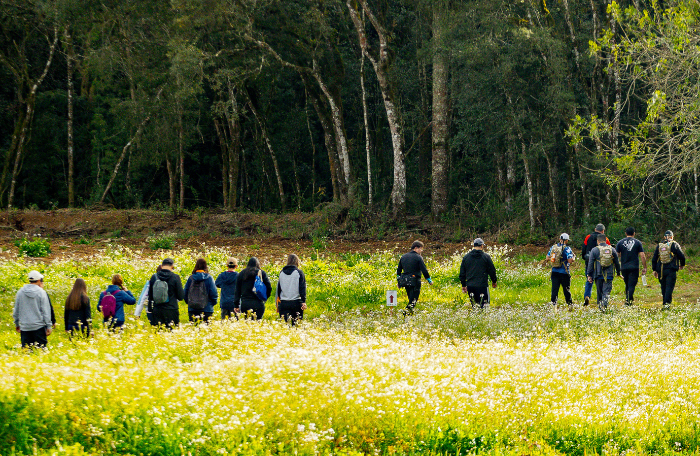 5ª Caminhada na Natureza – Circuito Faxina em São José dos Pinhais será neste domingo (14). Participe!